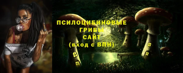 тгк Краснотурьинск
