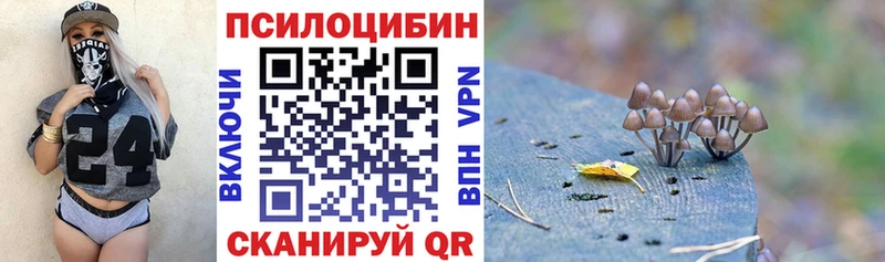 гидра зеркало  Нестеровская  Псилоцибиновые грибы Psilocybe 